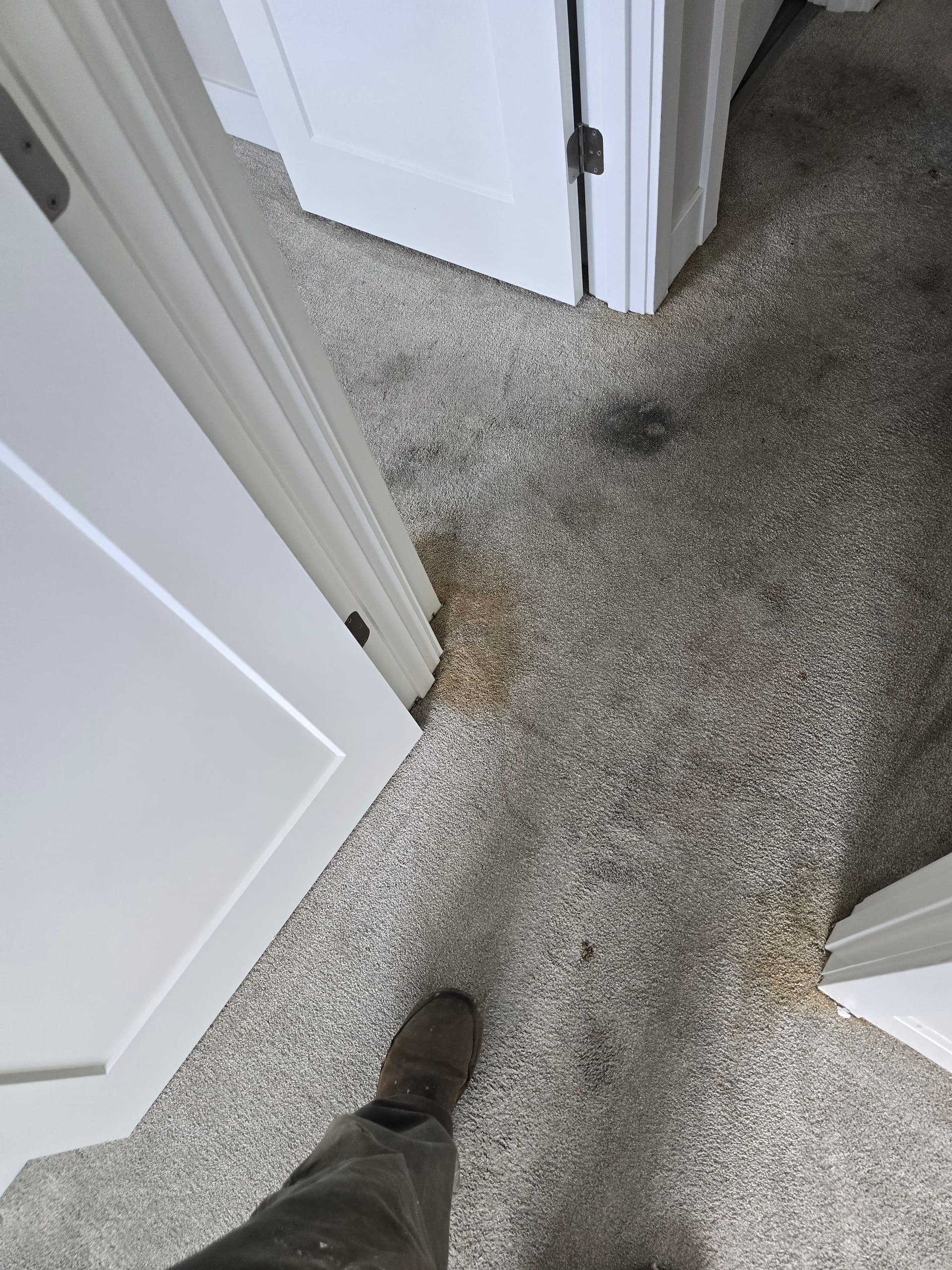 Stained Carpet to Stainmaster Waterproof Flooring in Bend image