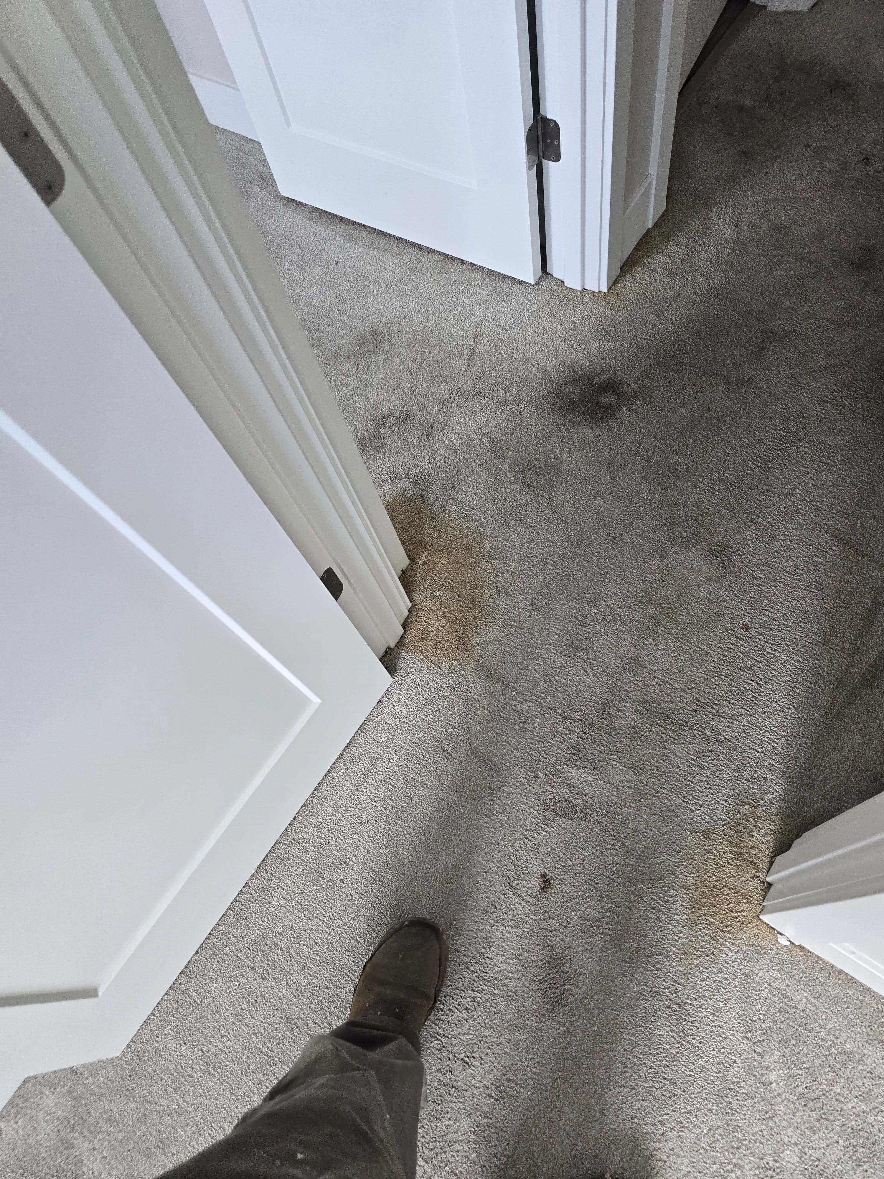 Project Stained Carpet to Stainmaster Waterproof Flooring in Bend image