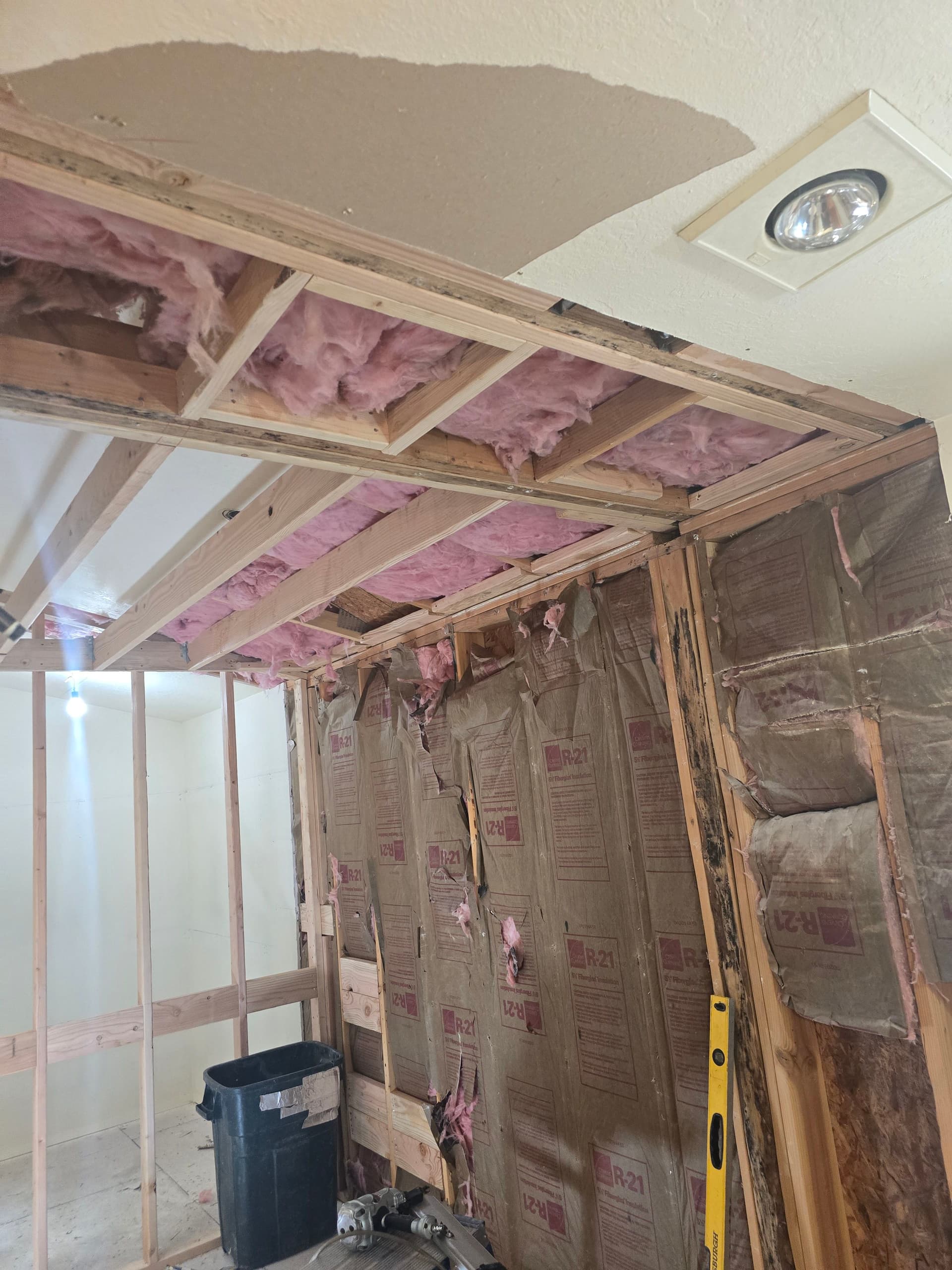 Full Gut Bathroom Remodel with Walk-In Shower and Sauna