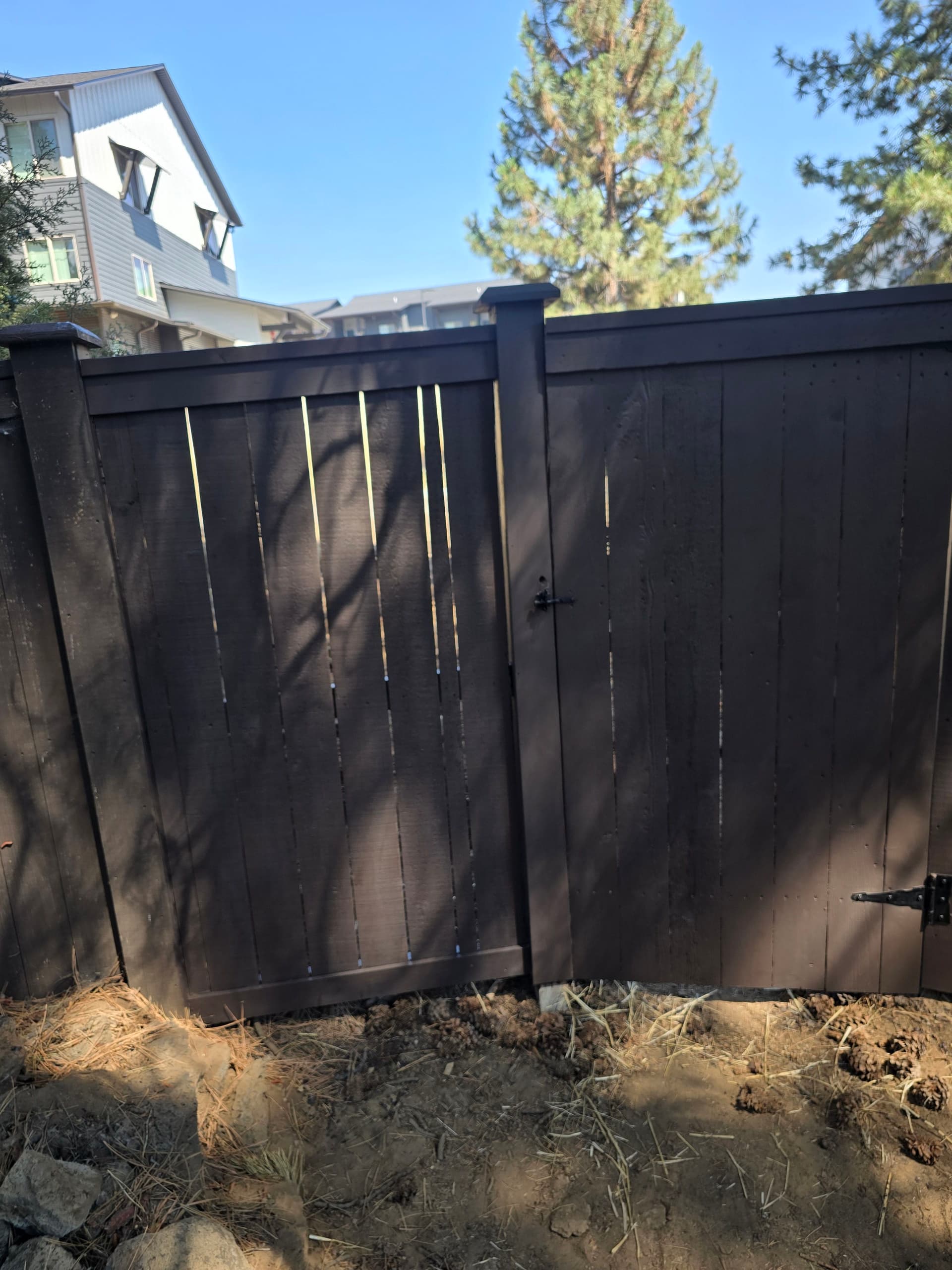 Backyard Gate Installation and Staining That Actually Gets Used