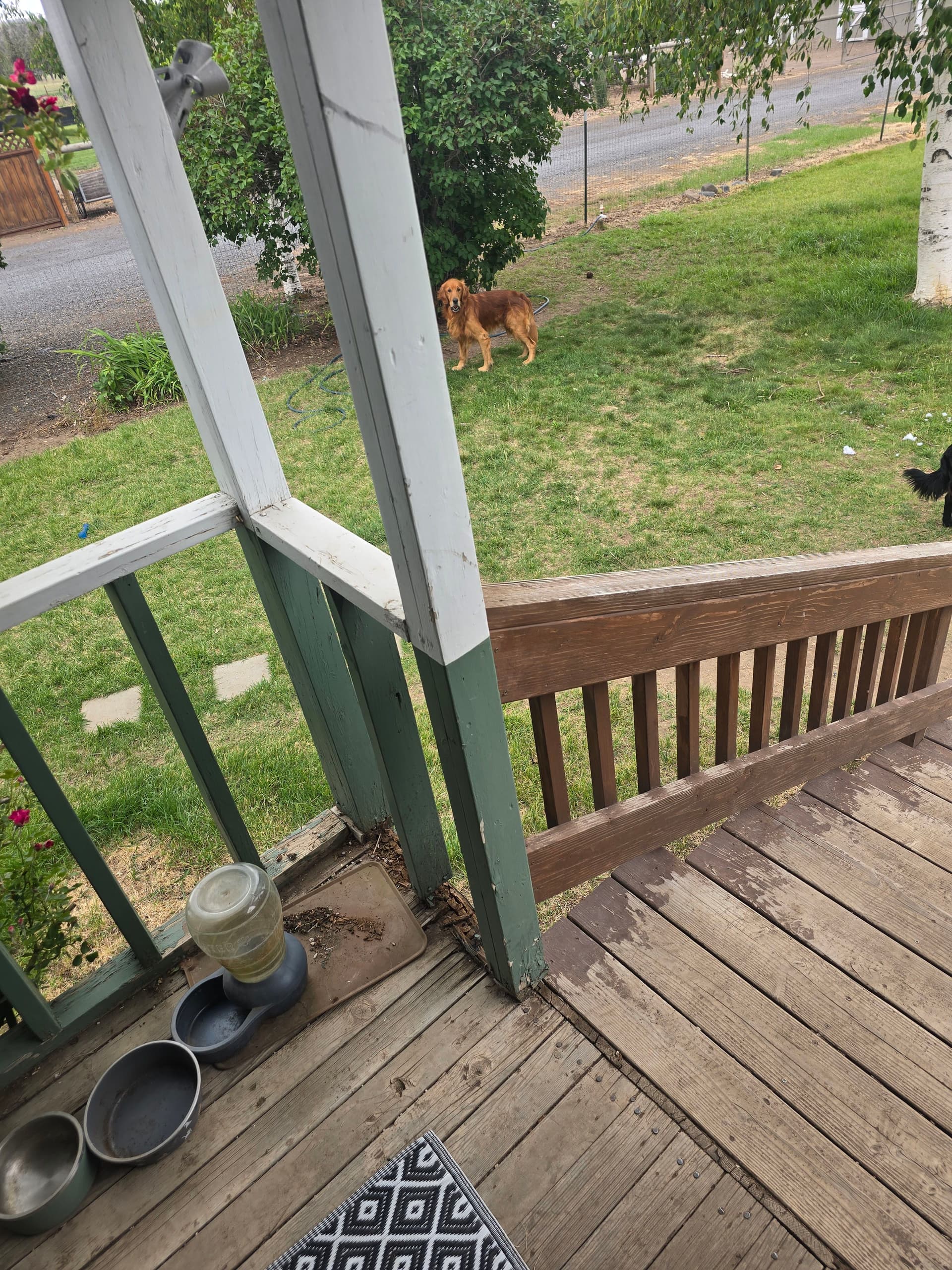 Front Porch Dry Rot Repair and Fresh Paint That Actually Lasts image