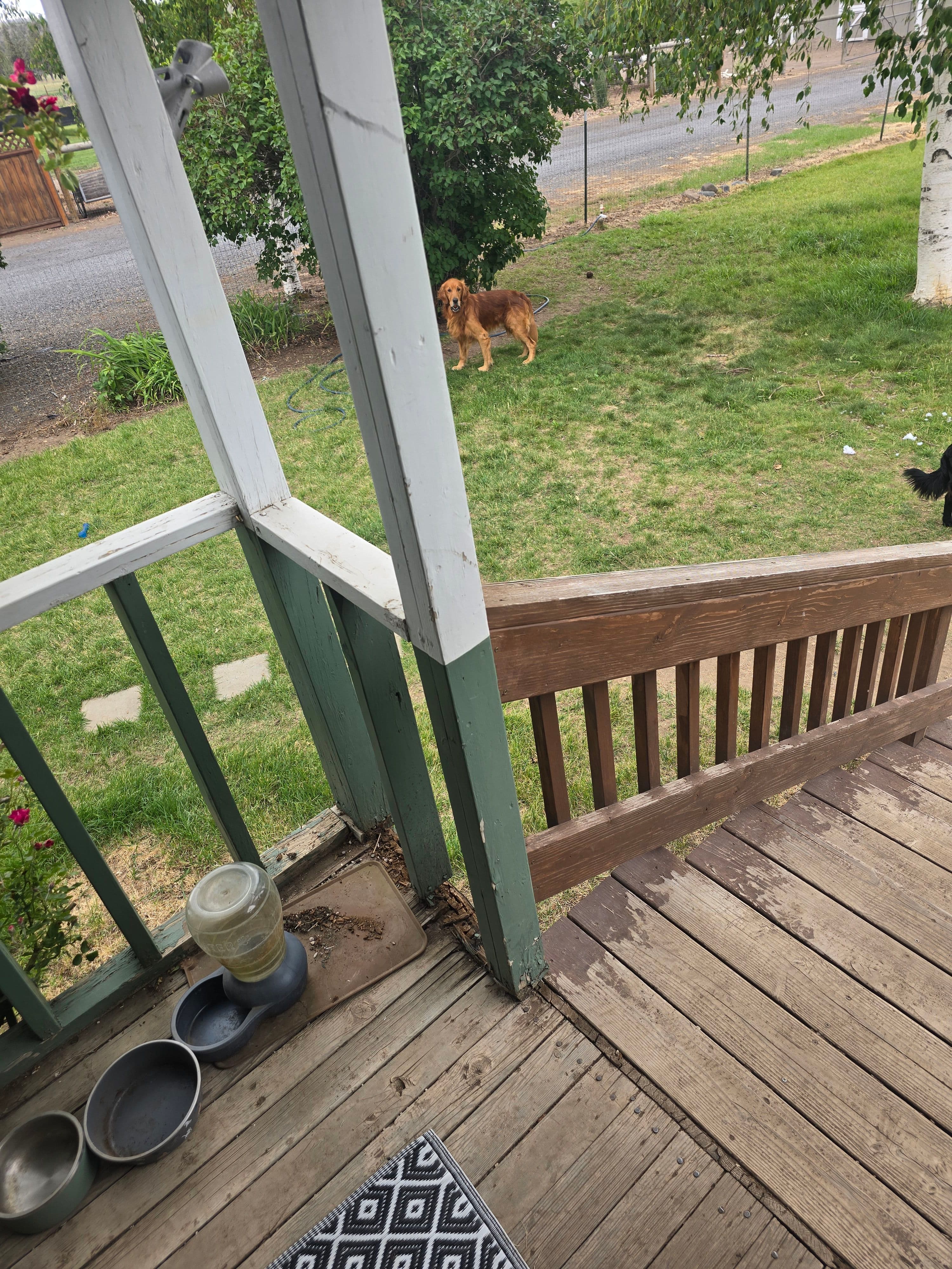 Project Front Porch Dry Rot Repair and Fresh Paint That Actually Lasts image