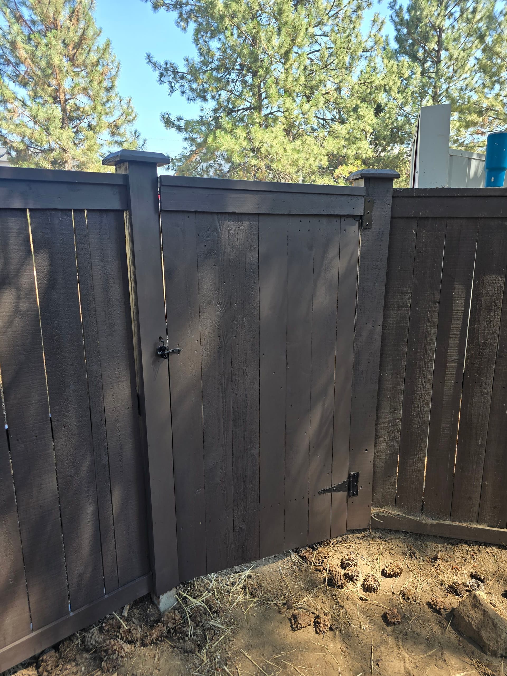 Backyard Gate Installation and Staining That Actually Gets Used