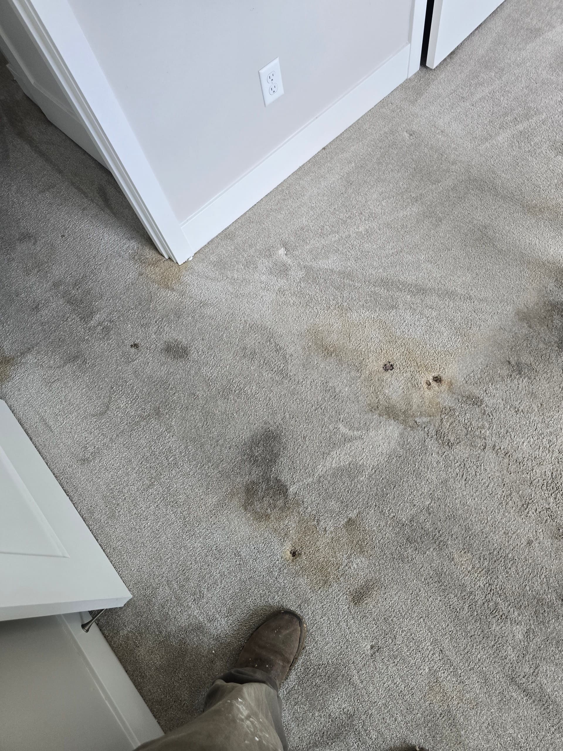 Gallery photos for Stained Carpet to Stainmaster Waterproof Flooring in Bend: Image #1