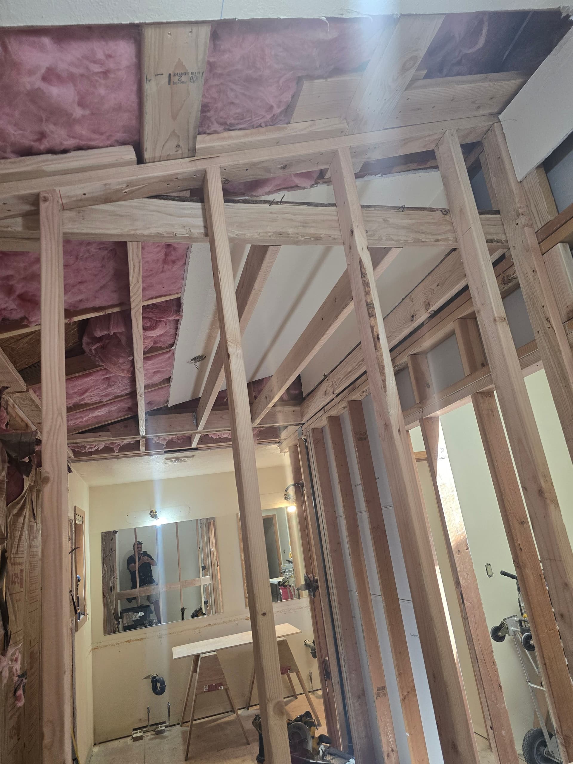 Full Gut Bathroom Remodel with Walk-In Shower and Sauna