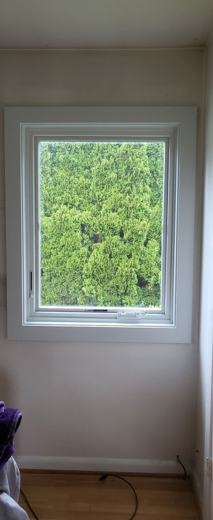 Gallery photos for Full Window Replacement That Cleaned Up This Home Inside and Out: Image #6